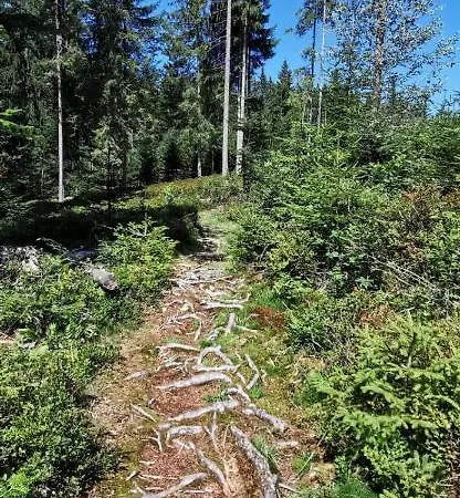 度假居 Geelink's Berghuette *