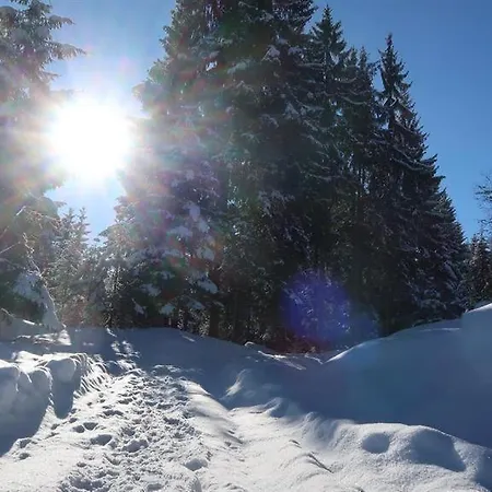 Geelink's Berghütte *