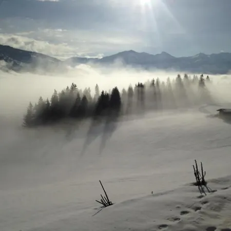 度假居 Geelink's Berghuette 伊特尔