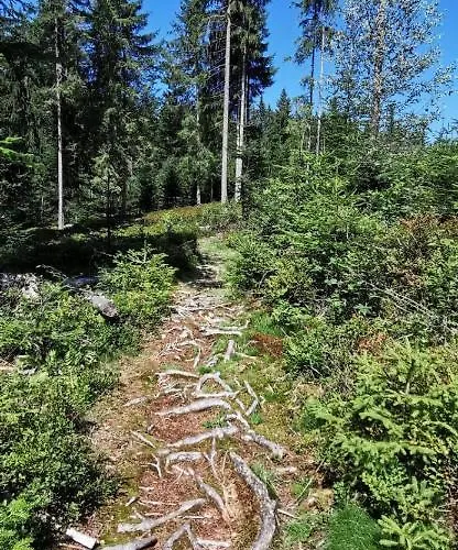 Casa vacanze Geelink's Berghuette *