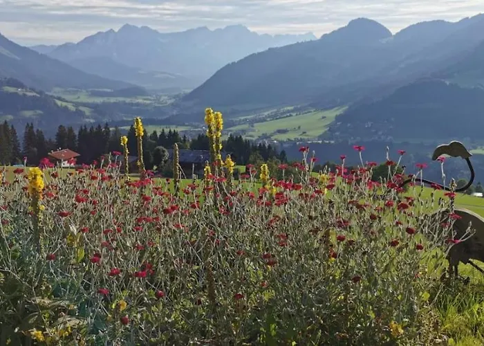 Casa de Férias Geelink's Berghuette