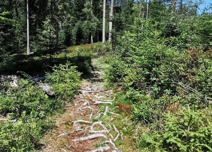 Geelink's Berghuette Prázdninový dům