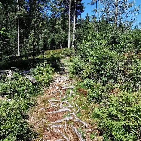Geelink's Berghuette Dom wakacyjny