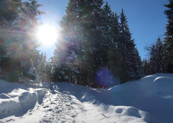 Geelink's Berghütte *